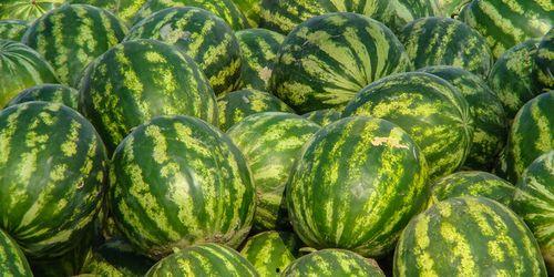 娱乐吃瓜酱潍坊,揭秘潍坊娱乐圈那些事儿