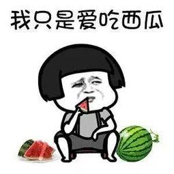 娱乐吃瓜头像图片大全集,笑料百出等你来翻牌