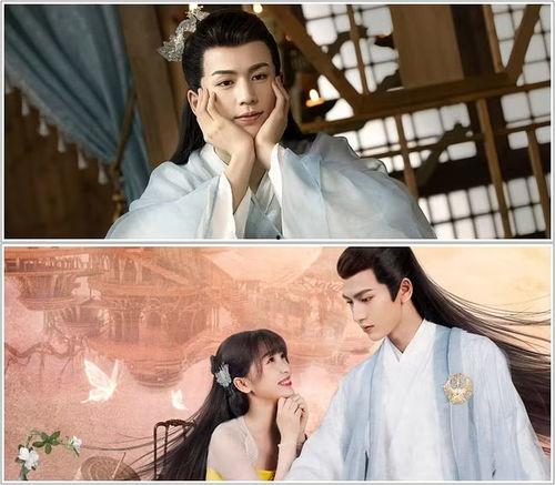 娱乐圈吃瓜张凌赫小说,张凌赫的瓜田奇遇记