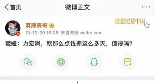 爆料吃瓜娱乐圈百度网盘,吃瓜群众齐聚百度网盘，揭秘明星幕后故事