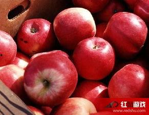 娱乐吃瓜酱苹果自带滤镜,娱乐吃瓜酱带你领略滤镜魔法魅力